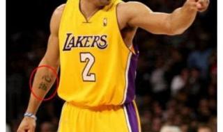 nba是什么意思中文 nba是什么意思中文